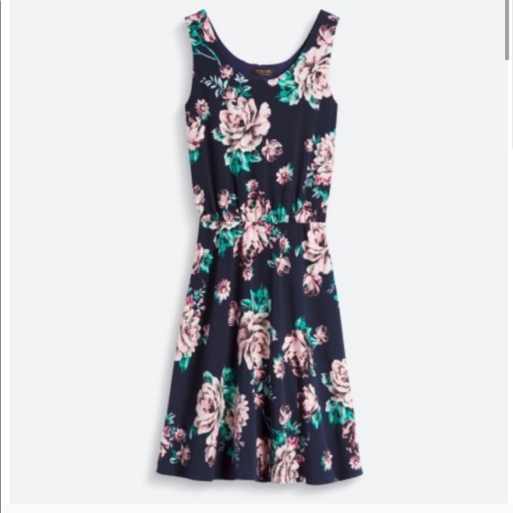 Renee c. Zamia knit dress